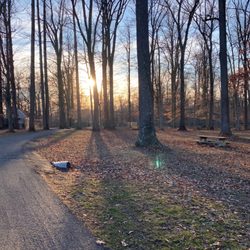 Horsham Dog Park - On the path to Horsham Dog Park.