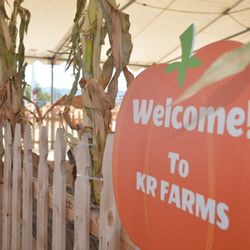 KR Farms Winterland & Alpine Christmas Trees - KR Farms offers a free movie, nightly! Check our website to see what's showing next!