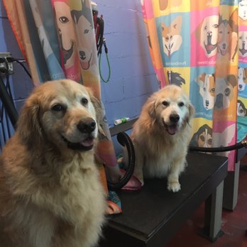 Shakers Dog Wash - Kooper and Toby - Pet Groomers Near Me - Saint Louis, Missouri Shakers Dog Wash - Kooper and Toby - Pet Groomers Near Me - Saint Louis, Missouri