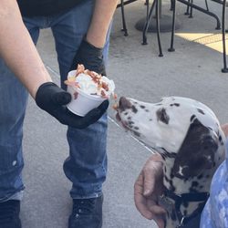 Town Square Pub N Grub - The best "Pup Cup" Freckles ever had! Whipped cream, bacon and Ice cream!