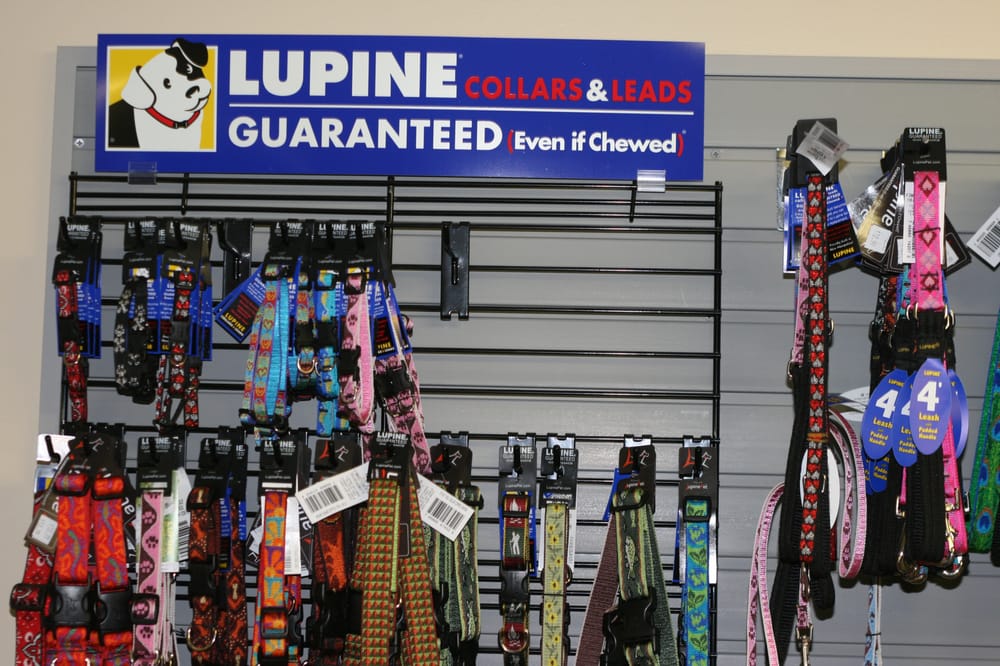 PLAY DOG PLAY Updated October 2024 11 Photos & 20 Reviews 668