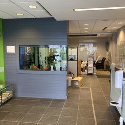 Grandcity Autobody - Reception and office area.
