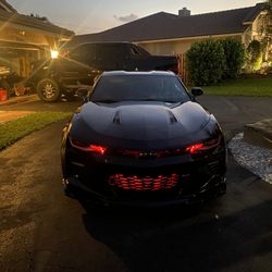 Tint World - Front glow.