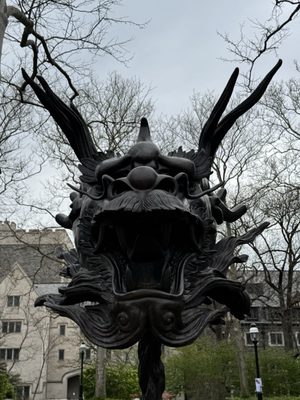 Princeton University by null