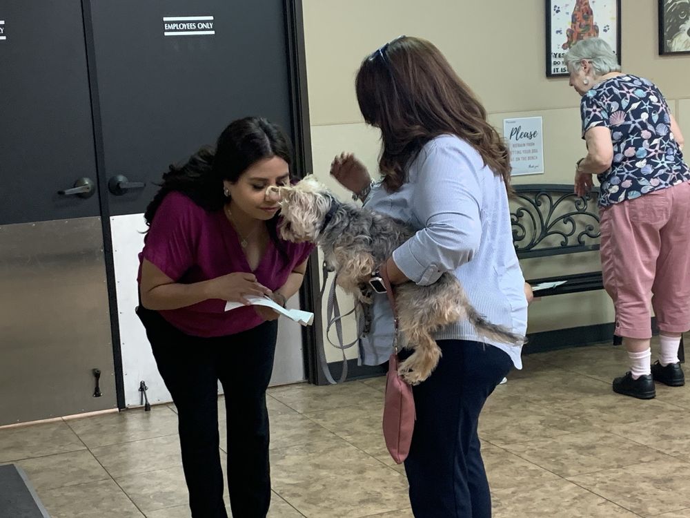 Texas Coalition for Animal Protection - Garland - social services organization in Garland, TX