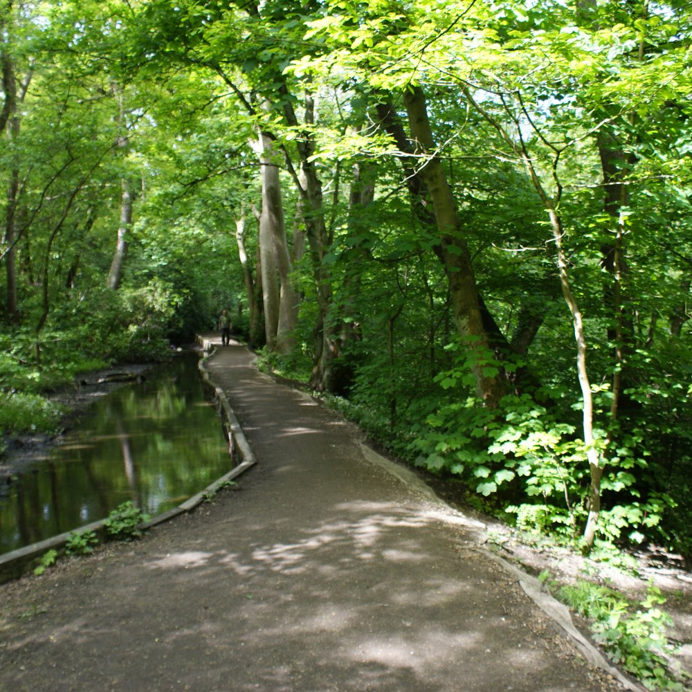 Meanwood Valley Trail - Parks Near Me - Leeds, XWY
