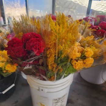Sunrise Nursery - Flowers - Nurseries & Gardening Near Me - Watsonville, California Sunrise Nursery - Flowers - Nurseries & Gardening Near Me - Watsonville, California