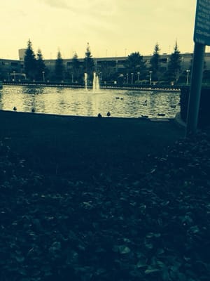 Kaiser Permanente Baldwin Park Medical Center by null