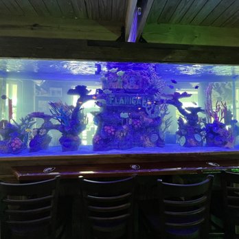 Flanigan's - Sports Bars Near Me - Miramar, Florida Flanigan's - Sports Bars Near Me - Miramar, Florida