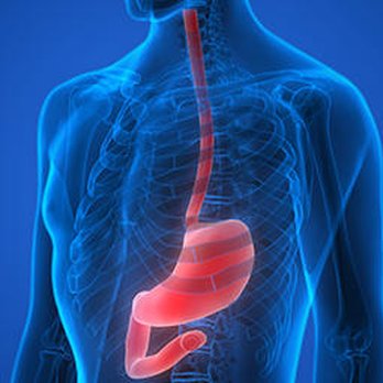 Advanced Gastroenterology - Gastroenterologist Near Me - Troy, New York
