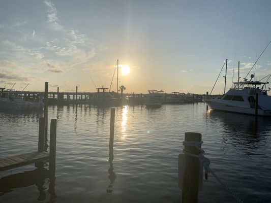OSO at Bear Point Harbor - Orange Beach by null