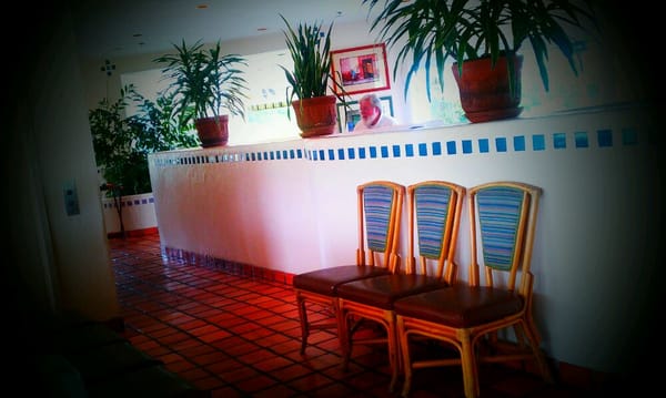 Palapas Restaurant & Cantina by null