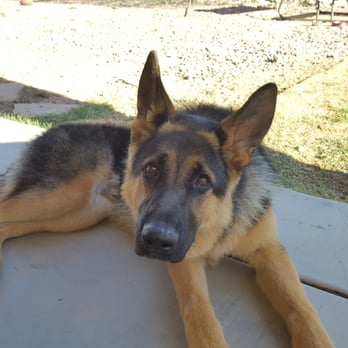 Old Town Horse & Pet - Pet Groomers Near Me - Tucson, Arizona Old Town Horse & Pet - Pet Groomers Near Me - Tucson, Arizona
