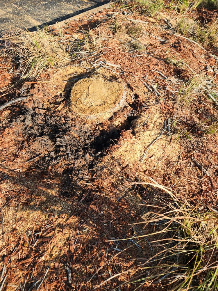 Slide of Greenbelt by Chdo