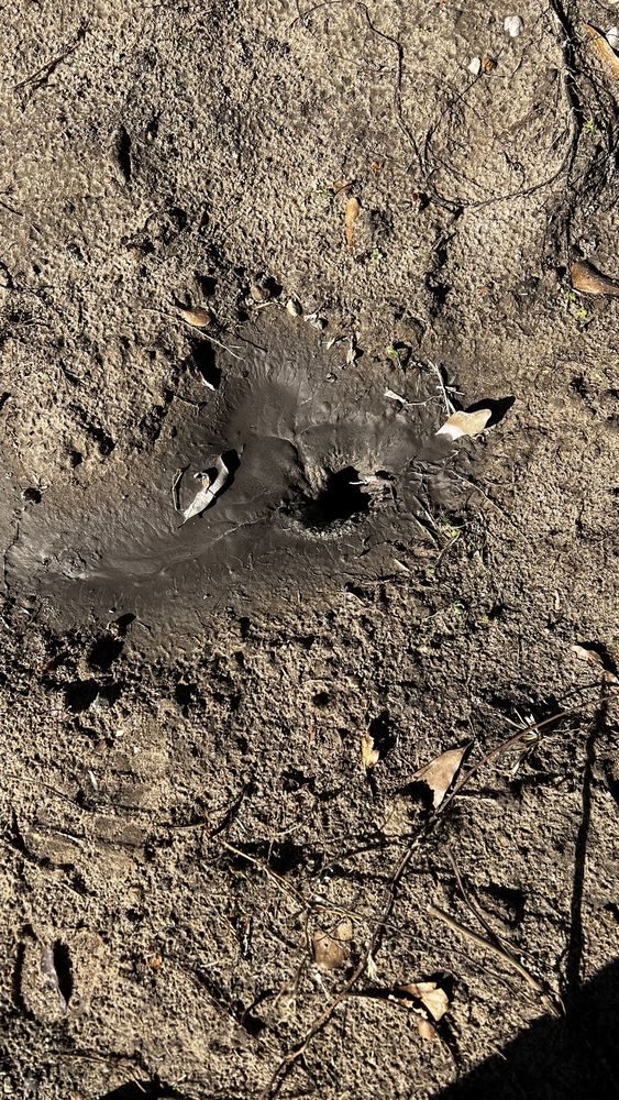 All Pro Septic - septic in Cleveland, TX