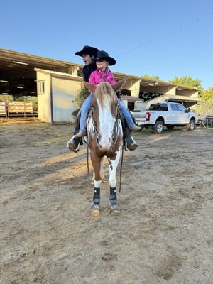 4 Horse Ranch by null