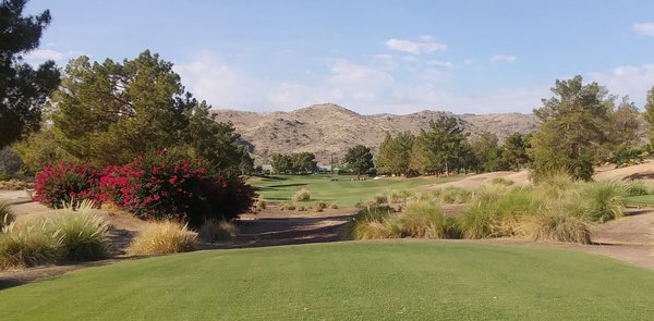 Raven Golf Club by null