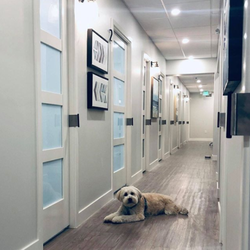 Harbor Dental