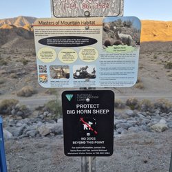 La Quinta Cove Hike - Protect the Big Horn Sheep and leave dogs at home