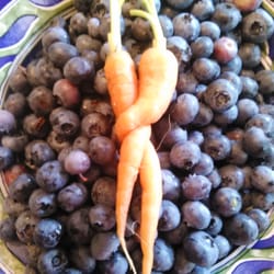 Love Farm Organics - Carrot Love with the Blue's