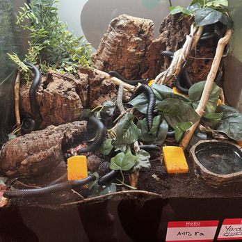 Insectropolis - Children's Museums Near Me - Toms River, New Jersey