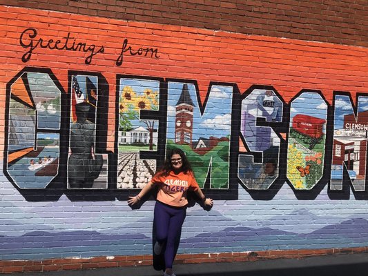 Clemson University by null