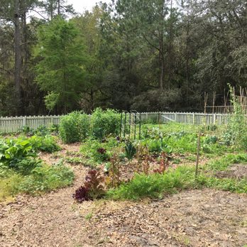 Green Acres Park - Parks Near Me - Gainesville, Florida