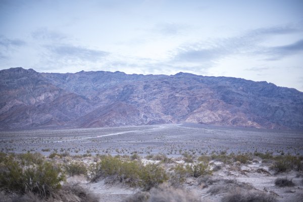 Mesquite Spring Campground by null