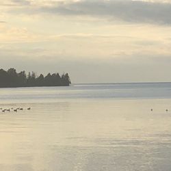 B. Forman Park - The Lake