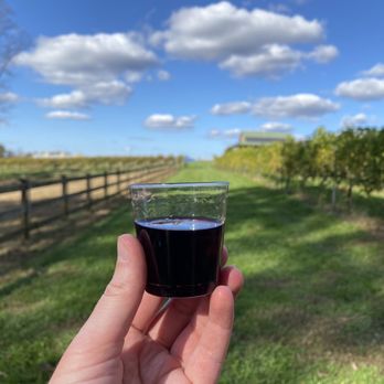 Divine Llama Vineyard - Mandarb - Wineries Near Me - East Bend, North Carolina Divine Llama Vineyard - Mandarb - Wineries Near Me - East Bend, North Carolina