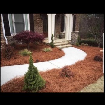 Infinity Scapes - Pine straw and shrub installation project. - Landscaping Near Me Infinity Scapes - Pine straw and shrub installation project. - Landscaping Near Me