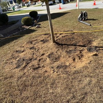Optimal Arboriculture - Tree Services Near Me