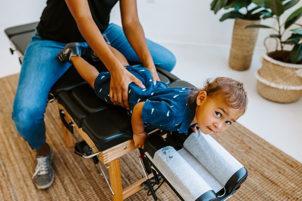 Dr. Mama Bird by null