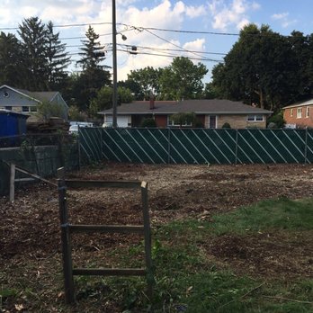 Autumn Tree Service - Complete transformation after awesome job done by autumn tree services - Tree Services Near Me Autumn Tree Service - Complete transformation after awesome job done by autumn tree services - Tree Services Near Me