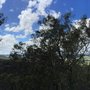 Sandy Hollow Tourist Park
