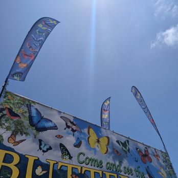 SkyRiver Butterflies - Must do! 2025 - Attraction Farms Near Me - Del Mar, California
