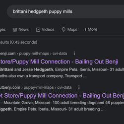 Furry Babies Portage - This was our google search. She appeared on many websites as one of the worst breeders of puppy mills.