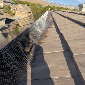 1Man1Van - Pigeon protection - Solar Panel Cleaning Near Me 1Man1Van - Pigeon protection - Solar Panel Cleaning Near Me