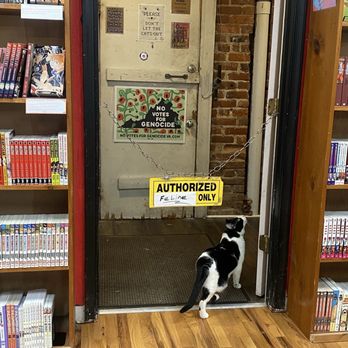 Shelf Life Books - Bookstores Near Me - Richmond, Virginia Shelf Life Books - Bookstores Near Me - Richmond, Virginia