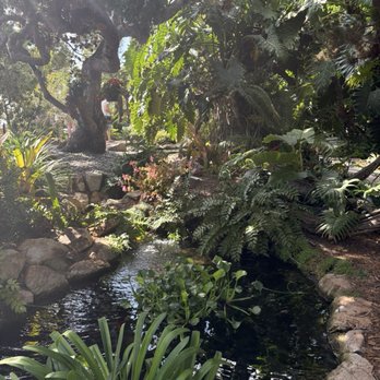 Self Realization Fellowship Hermitage & Meditation Gardens - Meditation Centers Near Me - Encinitas, California Self Realization Fellowship Hermitage & Meditation Gardens - Meditation Centers Near Me - Encinitas, California