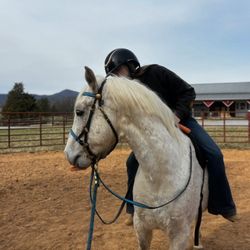 River Hill Stables - Round Pin