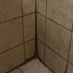 Texas 6 RV Park - Black mold