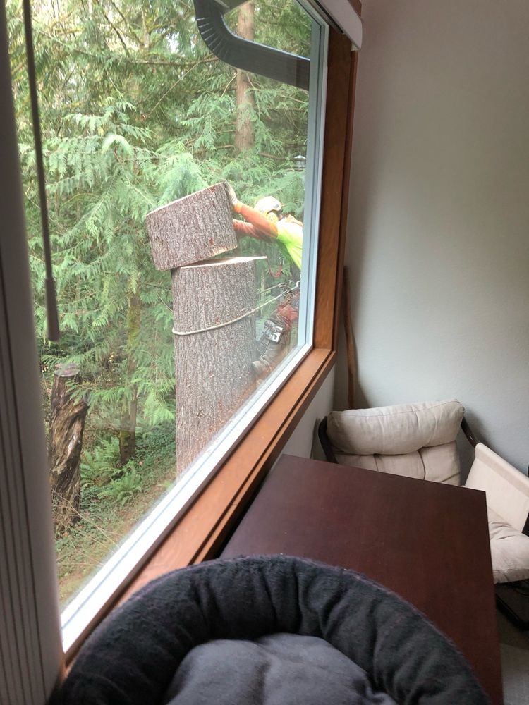 Pelton Tree Care - tree service in Everett, WA