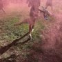 Photo of Nerfpalooza