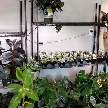 El Rancho Nursery - Nurseries & Gardening Near Me - Vacaville, California