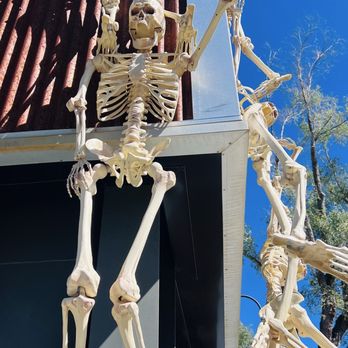 LazyG Brewhouse - Halloween skeletons are here! - Brewpubs Near Me - Prescott, Arizona