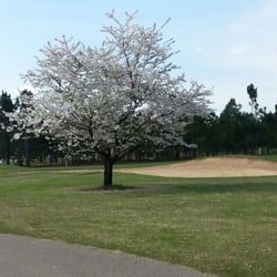 Springtime at Applewood