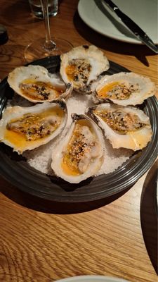 The Establishment by null