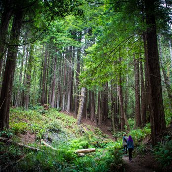 Unbeaten Path Hiking Tours - Tours Near Me Unbeaten Path Hiking Tours - Tours Near Me
