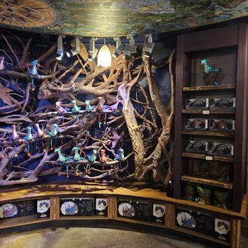 Windtraders - Toy Stores Near Me - Lake Buena Vista, Florida